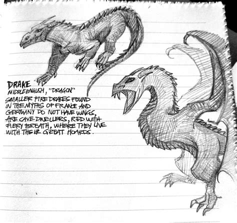 drake/wyvern sketches by lbeckart on DeviantArt