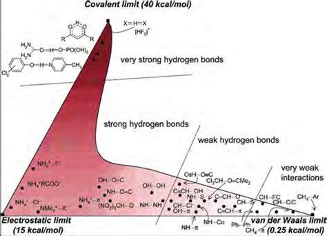 3. Hydrogen bonds energy diagram, where hydrogen bond strength is... | Download Scientific Diagram