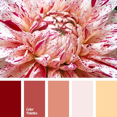 peach | Color Palette Ideas