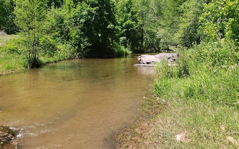 Restoring Christopher Creek - Zane Grey Trout Unlimited