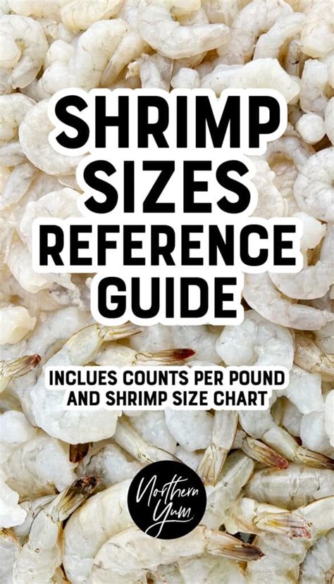 Shrimp Sizes Reference Guide Pin 3 - Northern Yum