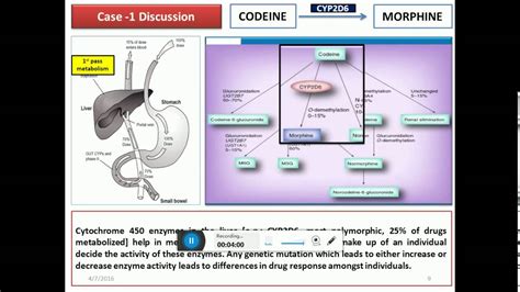 Pharmacogenomics for Undergraduates in 10 minutes - YouTube