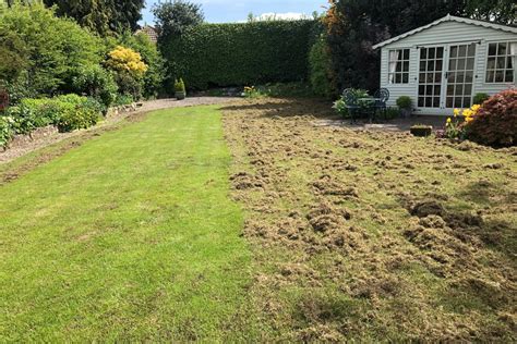 Lawn Scarifying | Professional Lawn Scarification Services | Lawnkeeper