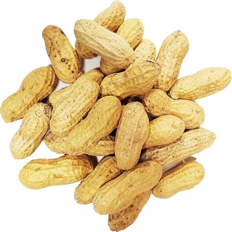 Amazon.com: bulk peanuts in shell for squirrels