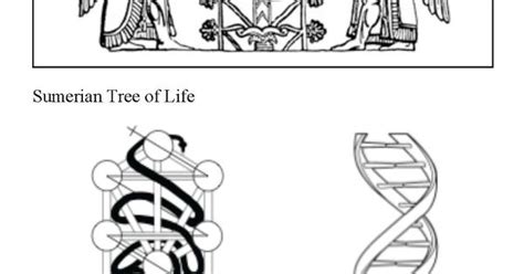 sumerian-tree-w-snake-dna.jpg 1,119×1,547 pixels | MEDITATION .KUNDALANI.Tree of Life ,Serpent ...