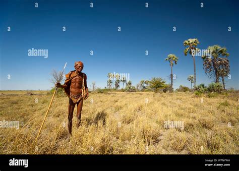 Bushman Hunting High Resolution Stock Photography and Images - Alamy