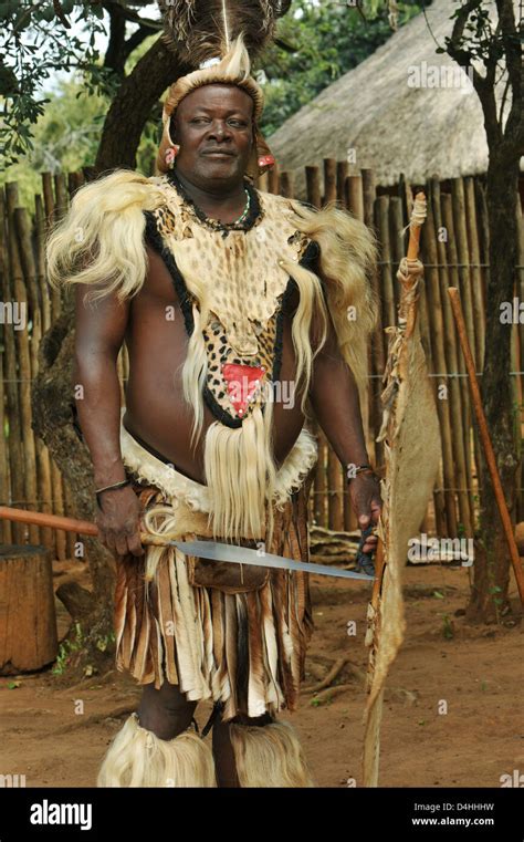 People, Zulu chief, man, traditional ceremonial dress, spear and shield, posing, culture theme ...