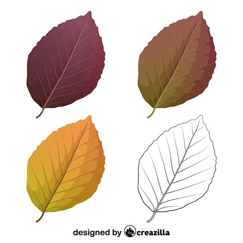 Copper beech leaves vector. Free download. | Creazilla