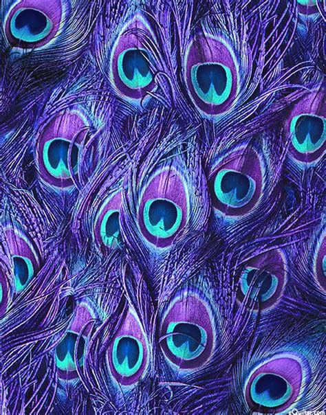 Purple Peacock Wallpaper