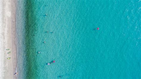 Free Photo | Aerial view of sandy beach with tourists swimming.