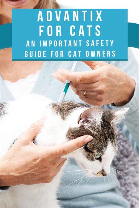 Advantix For Cats - An Important Safety Guide For Cat Owners