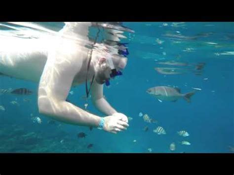 Snorkeling at Mr Sanchos in Cozumel - YouTube