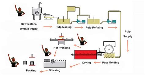 Egg Tray Production Process | Egg Tray Manufacturing Process