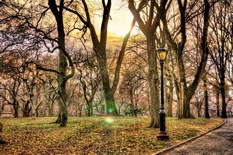 Dreamy Sunset. Central Park NYC | Central park nyc, Central park, Sunset