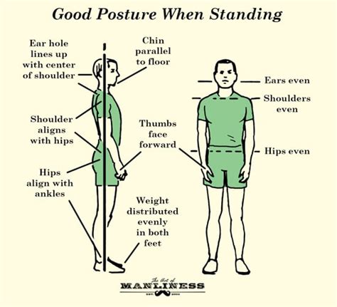 Good Posture When Standing - Posture LowBackBlog