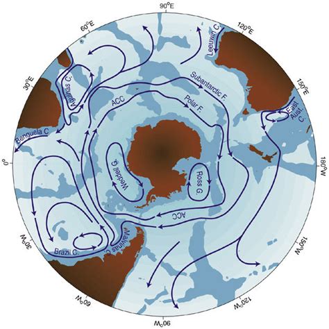 17: The Antarctic Circumpolar Current (ACC) is an ocean current that... | Download Scientific ...