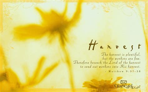 Harvest - Bible Verses and Scripture Wallpaper for Phone or Computer