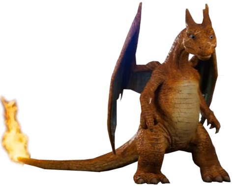 Top 10 Best Movies About Real Charizard Pokemon - Teeruto