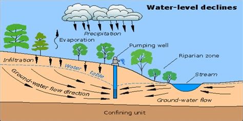 Effects of Groundwater Depletion - Assignment Point