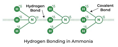 Hydrogen Bonding – Definition, Types, Effects and Properties (2022)