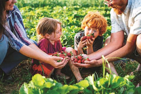 The Family Farm | Southern Foodways Alliance - Southern Foodways Alliance