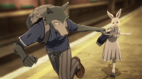 BEASTARS TV Anime Sends Us Back To School With New Season 2 Character Visuals