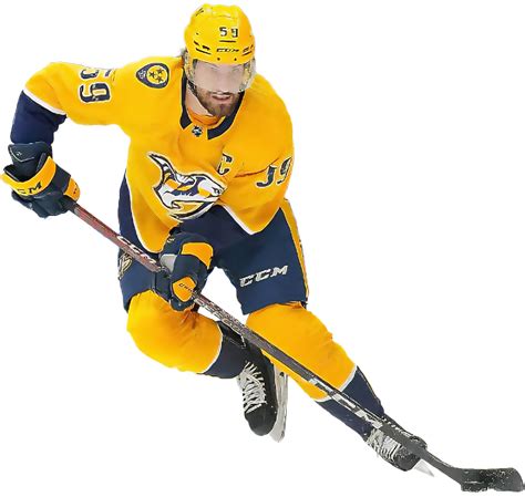 Nashville Predators Ice Hockey - Ashton Real Estate Group