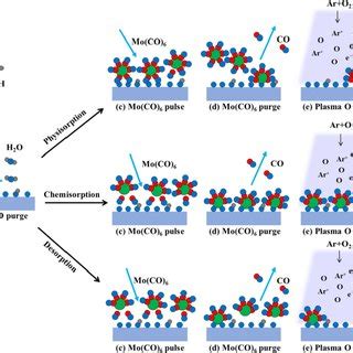 Substrate temperature-controlled precursor reaction mechanism of PEALD-deposited MoOx thin films ...