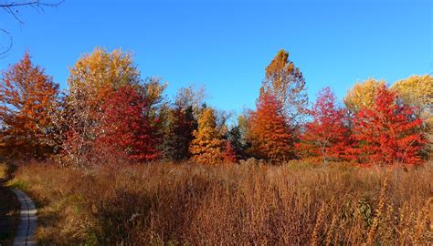 Fall Field - P1430866 | Wawayanda State Park Vernon New Jers… | Flickr