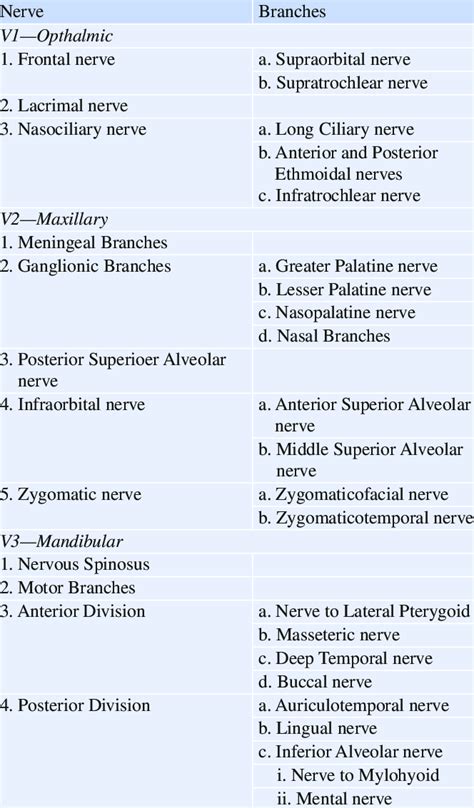 Branches of the 3 divisions of the trigeminal nerve | Download ...