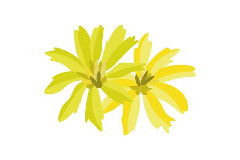 Nebraska State Flower - Solidago Gigantea SVG Cut file by Creative ...