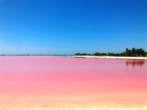 A Trip To The Las Coloradas Pink Lake — Negra Bohemian