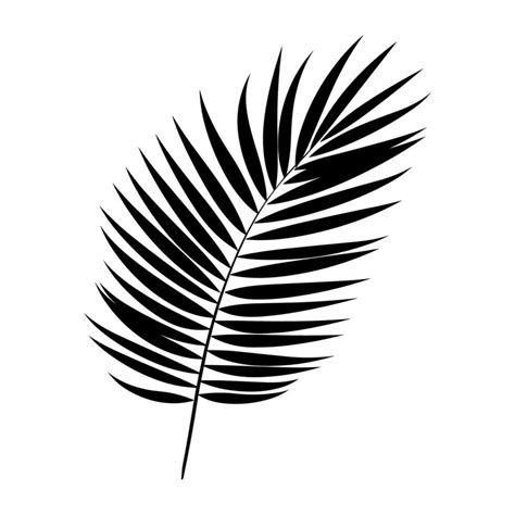 A Palm Tree Leaf Silhouette vector free 35062101 Vector Art at Vecteezy