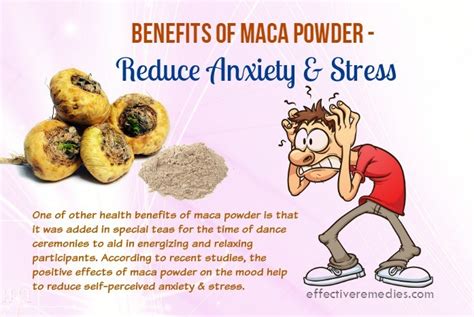 Top 18 Health Benefits Of Maca Powder – Its Uses & Side Effects