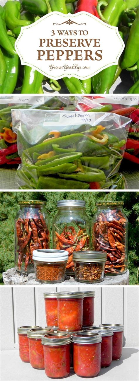 3 Ways to Preserve Peppers (With images) | Canning recipes, Stuffed peppers