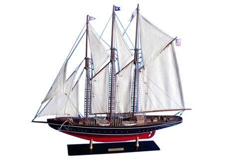 Schooner Atlantic Hand Built Model