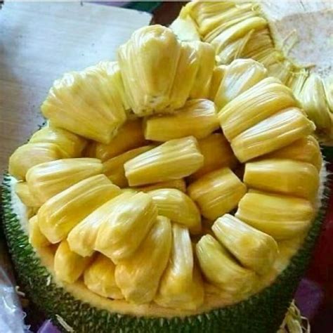 Ternyata Buah Nangka Jadi Musuh Penyakit Serius, Wajib Coba Nih - GenPI.co BANTEN