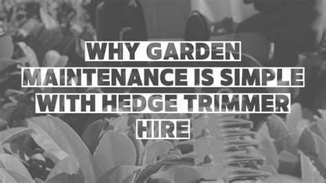 Why Garden Maintenance is Simple With Hedge Trimmer Hire | WHC Hire Services