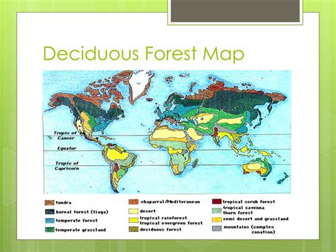 Deciduous Forest Map