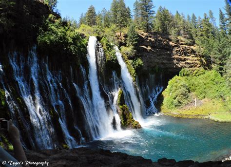 Around the World through a Tyger's Eyes: Burney Falls, Burney, California