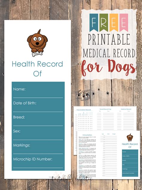 Free Printable Medical Record for Dogs - Tastefully Eclectic
