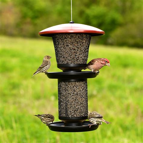 NO/NO® Multi-Seed Wild Bird Feeder Model # RBMT00341 | Birdfeeders.com