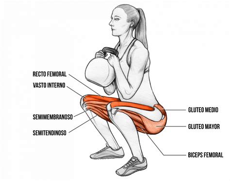 Que músculos trabajan las sentadillas? Cuádriceps y cadena posterior.