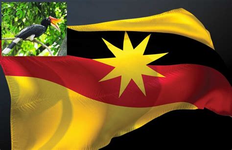 “Let’s be honest, I envy Sarawak and its hornbill spirit”