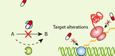 TYPES OF ANTIBIOTIC RESISTANCE - #1 Microbiology Resource Hub