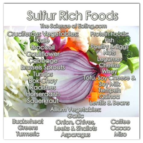 sulfur rich foods – Integrated Health Solution