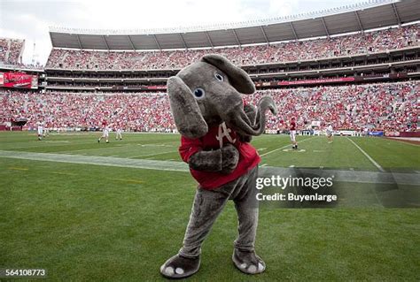 Alabama University Mascot Photos and Premium High Res Pictures - Getty Images