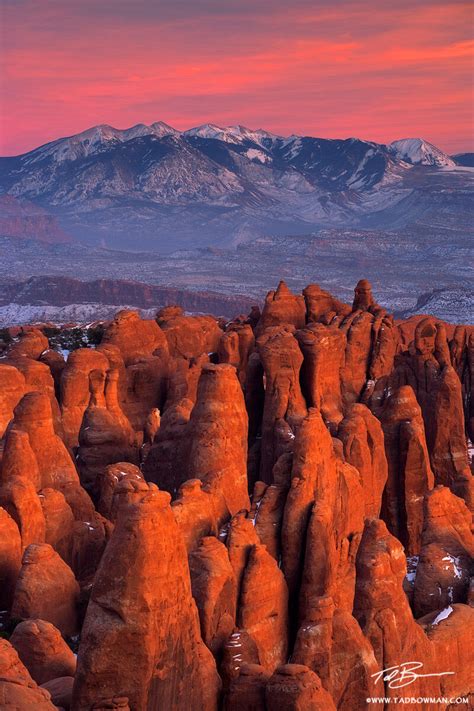 Fiery Furnace Sunset : Arches National Park, Utah : Colorado Mountain Photos by Tad Bowman