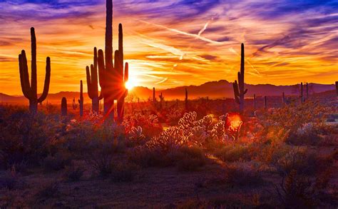 CYL On the Road - Phoenix - Celebrate Your Life Events | Desert sunset ...