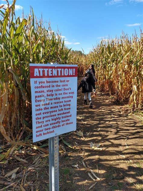 This corn maze sign : r/funny